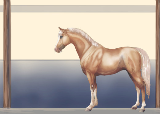 753692 (a): :3500x2500